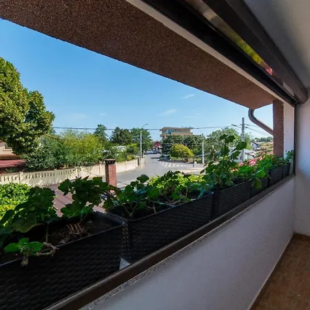 Anastasia Guest house 3*